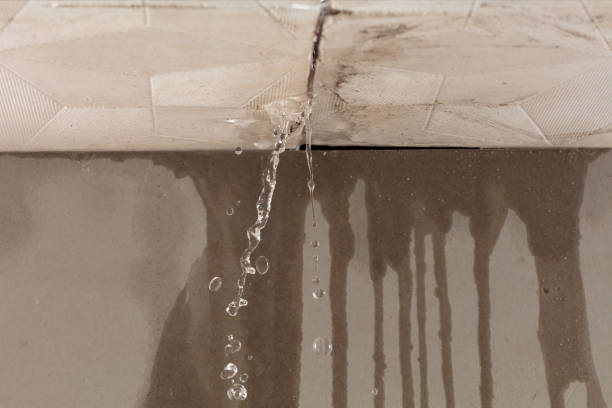Professional Commercial Water Damage Restoration technician working in Hickory Corners, MI